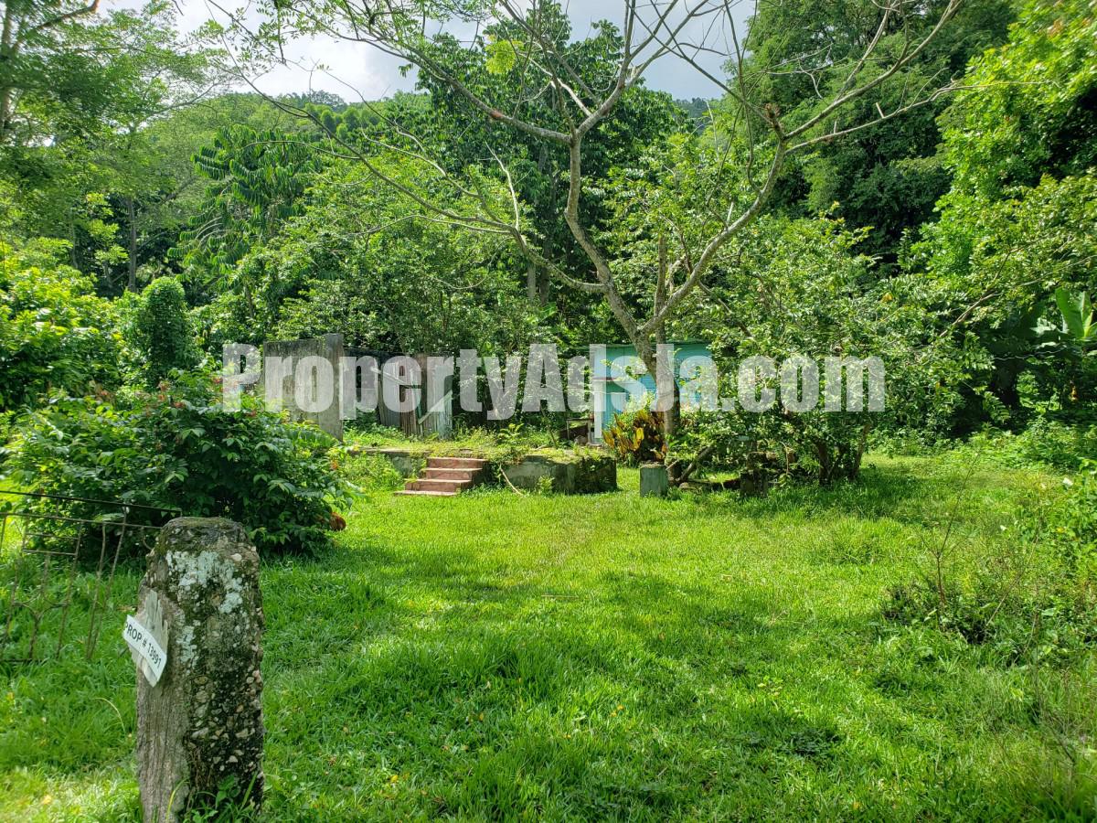 Land For Sale in Frankfield, Clarendon Jamaica