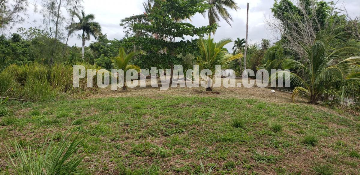 Commercial/farm land For Sale in Unity, St. Mary Jamaica