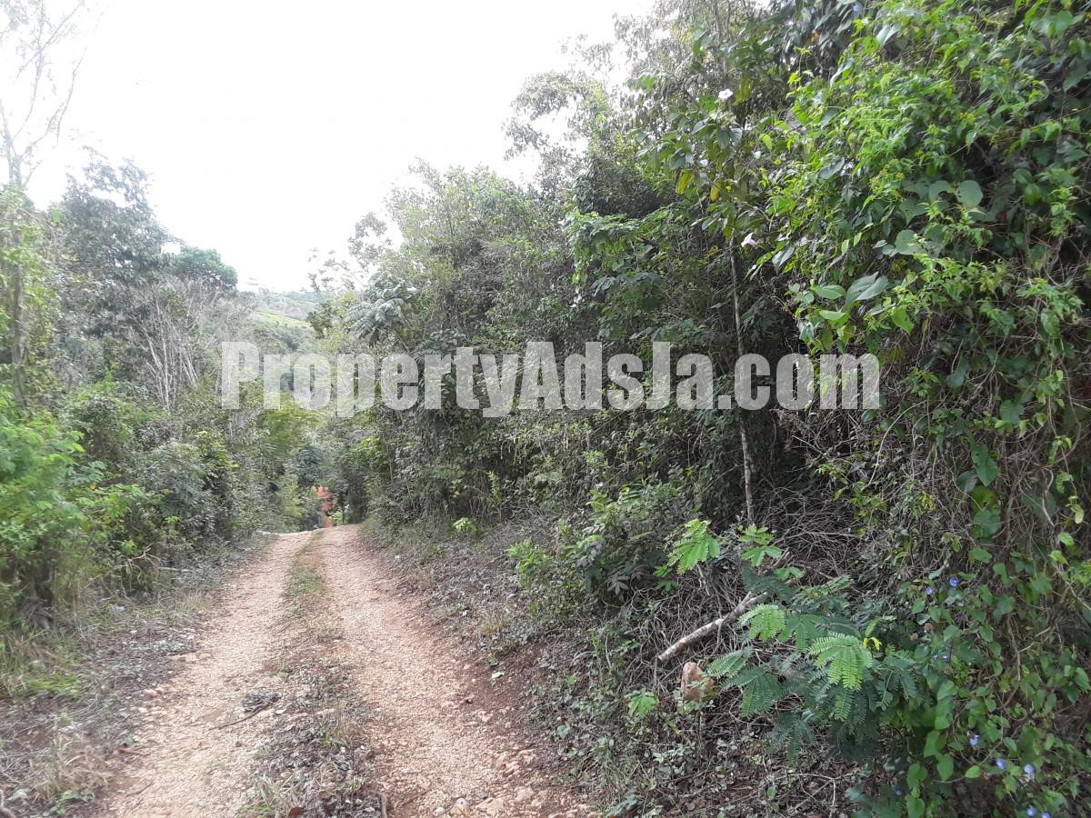 Residential lot For Sale in Cross Keys Manchester, Manchester Jamaica