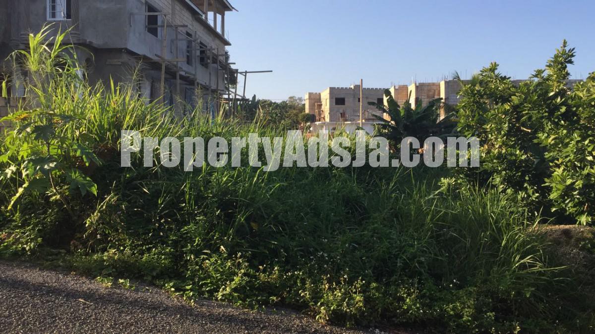Residential lot For Sale in Three Hills, St. Mary Jamaica