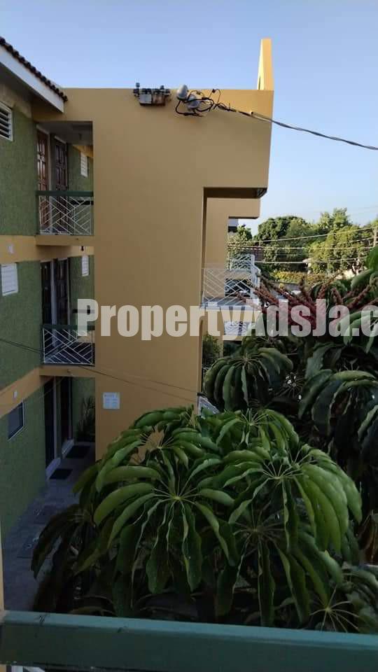Apartment For Rent in New Kingston, Kingston / St. Andrew Jamaica