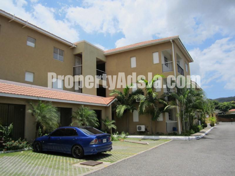 Apartment For Rent in Kingston 6, Kingston / St. Andrew Jamaica