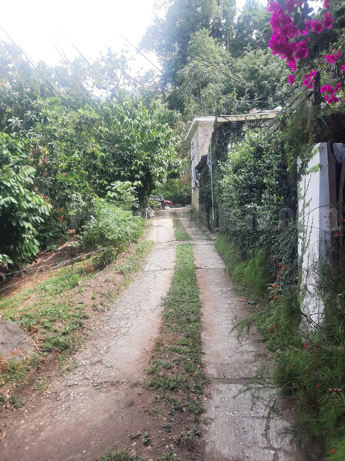 Apartment For Rent in Gordon Town, Kingston / St. Andrew Jamaica