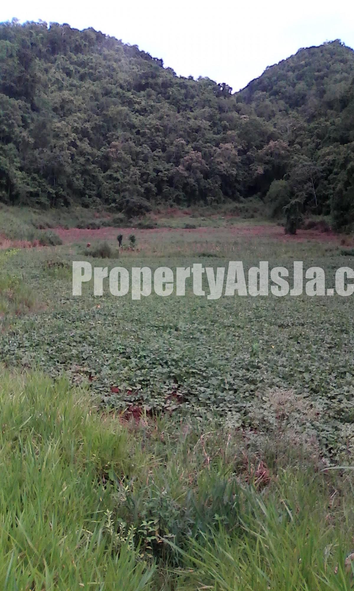Commercial/farm land For Sale in Browns Town, St. Ann Jamaica