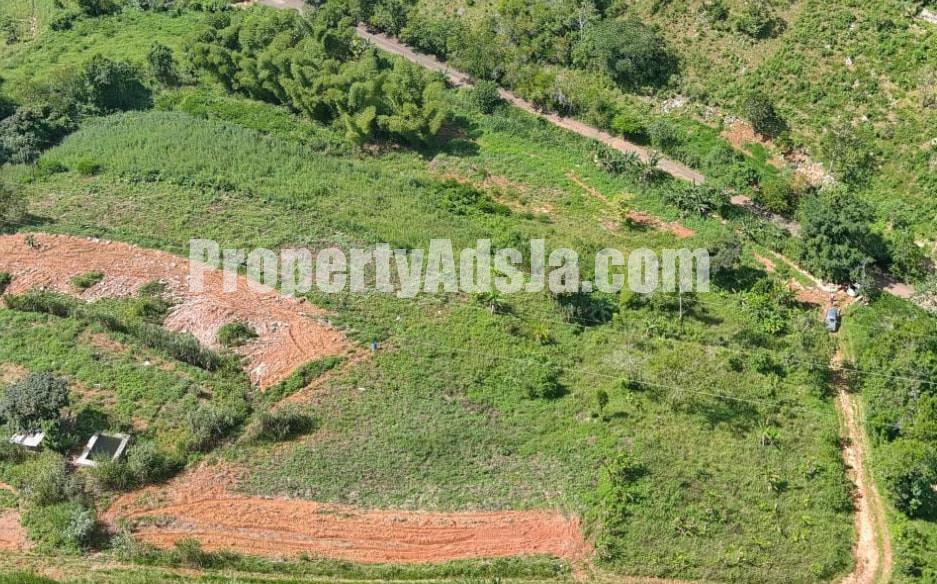 Land For Sale in Chudleigh Walderston PO, Manchester Jamaica