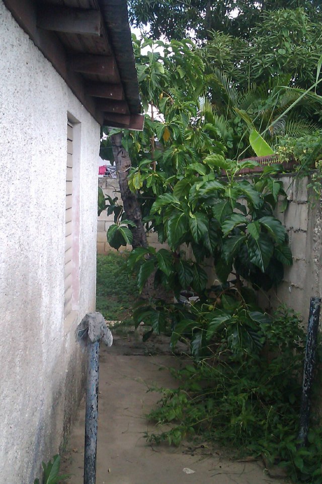 House For Sale in Ensom City Spanish Town, St. Catherine Jamaica