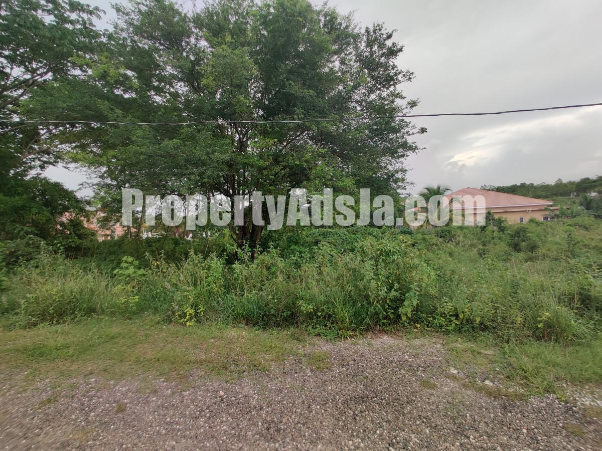 Residential lot For Sale in Lot 204 Olive Park, St. Elizabeth Jamaica
