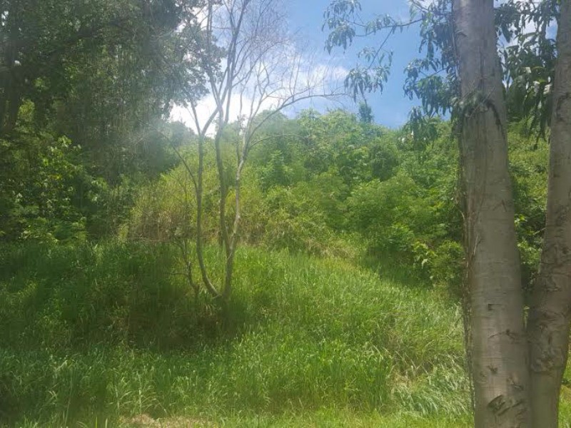 Residential lot For Sale in Jacks Hill, Kingston / St. Andrew Jamaica