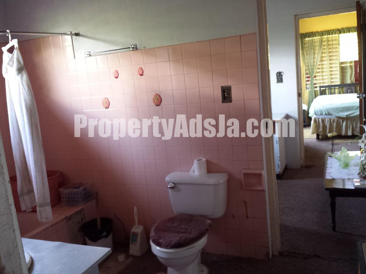 Houses For Sale In Forest Hills Jamaica at Shawn Boltz blog