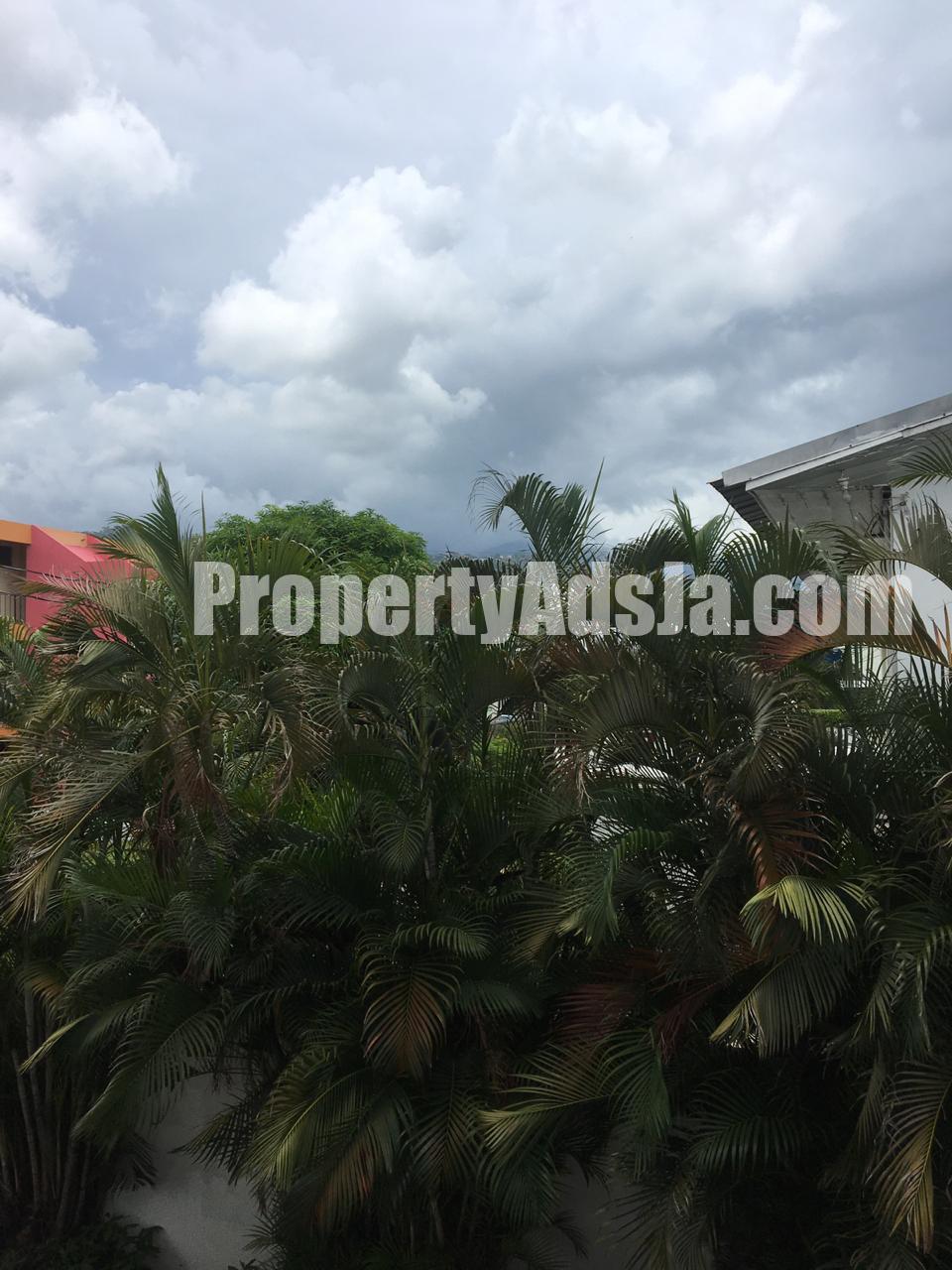 Apartment For Rent in Kingston 6, Kingston / St. Andrew Jamaica