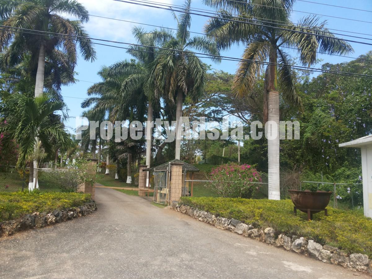 Resort/vacation property For Sale in Orange Bay, Hanover Jamaica