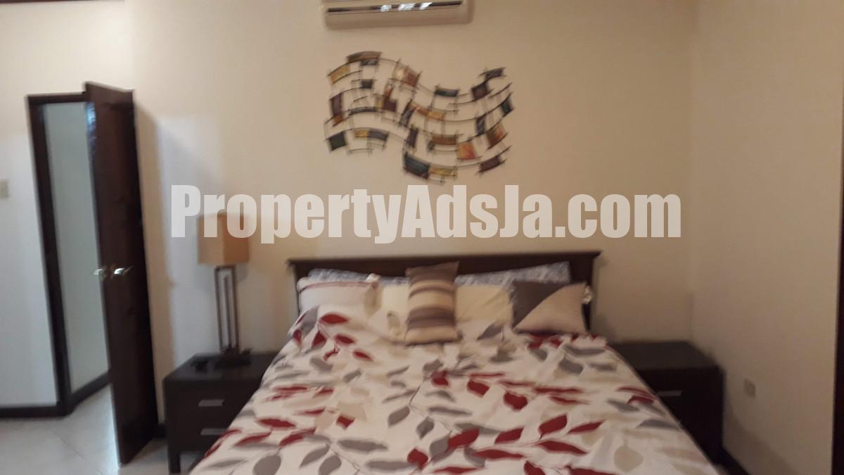 Apartment For Rent in Kingston 6, Kingston / St. Andrew Jamaica