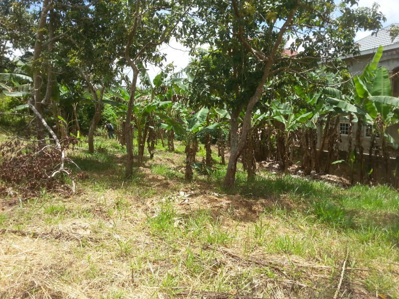 Residential lot For Sale in Glencoe Meadows Spaldings, Manchester