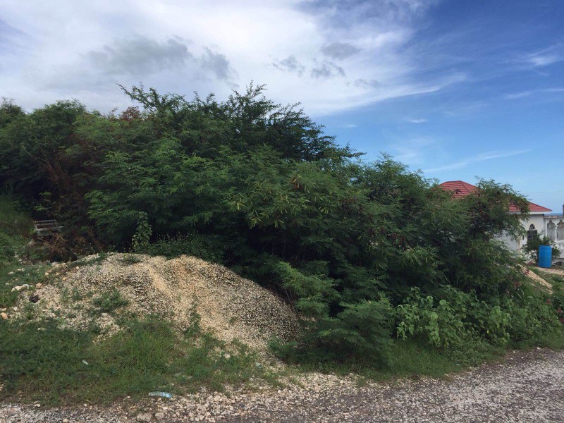Residential lot For Sale in OLD HARBOUR, St. Catherine Jamaica