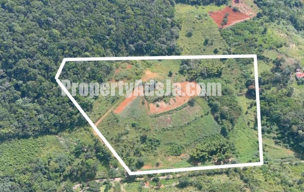 Land For Sale in Chudleigh Walderston PO, Manchester Jamaica