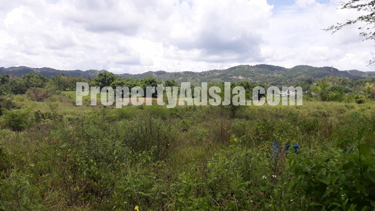 Commercial/farm land For Sale in New Market, St. Elizabeth Jamaica