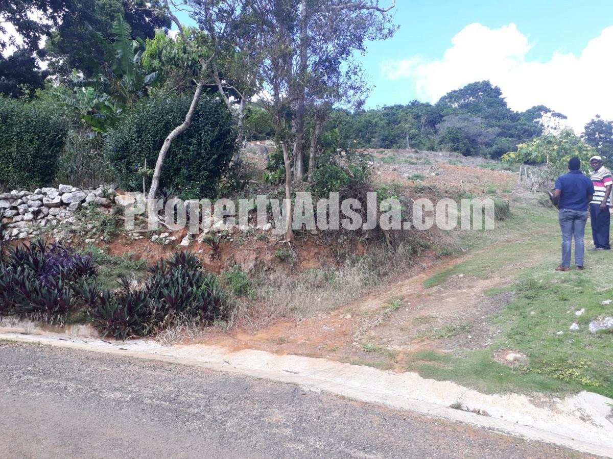 Land For Sale in Christiana, Manchester Jamaica
