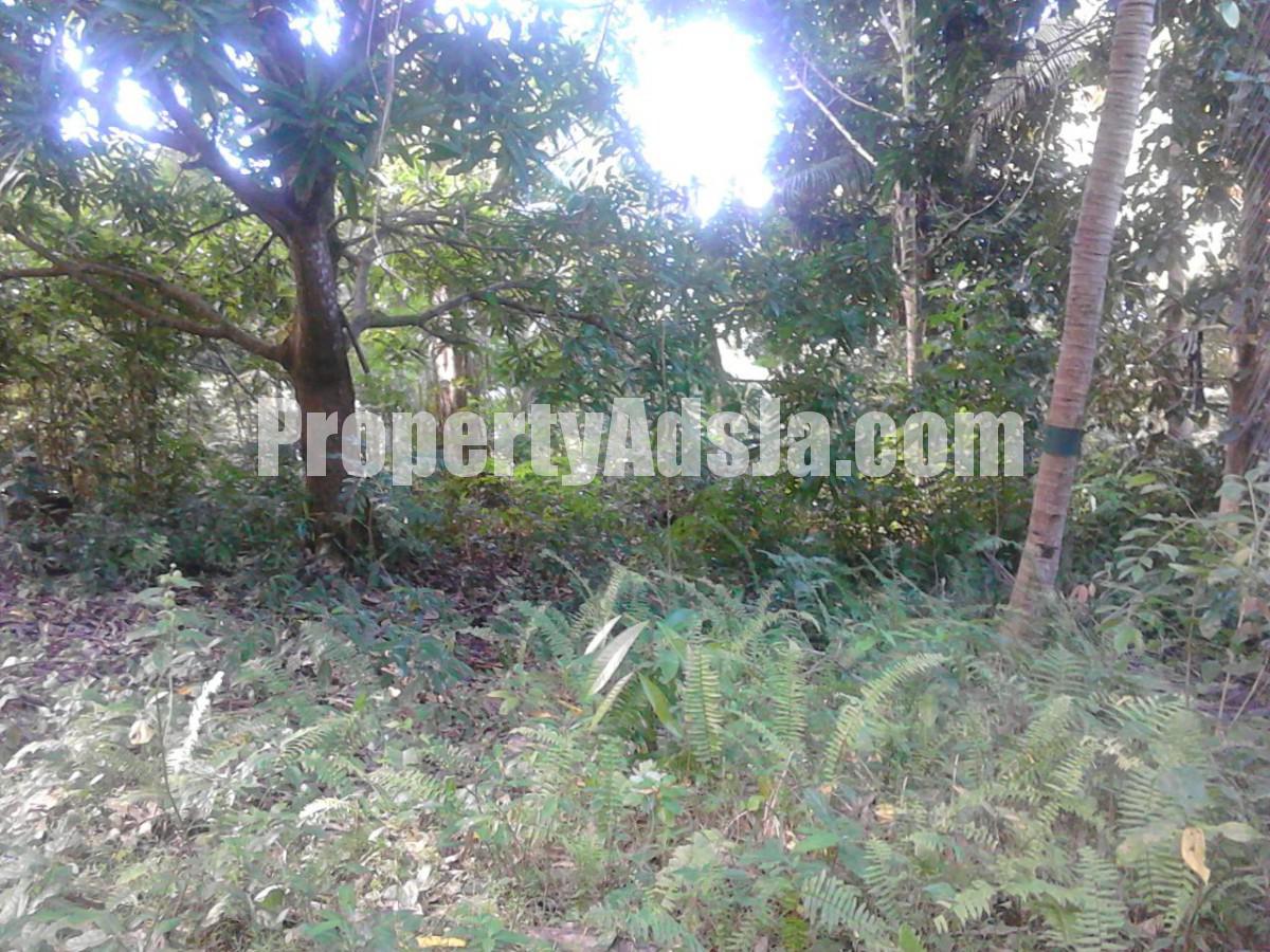 Residential lot For Sale in Dover, St. Mary Jamaica
