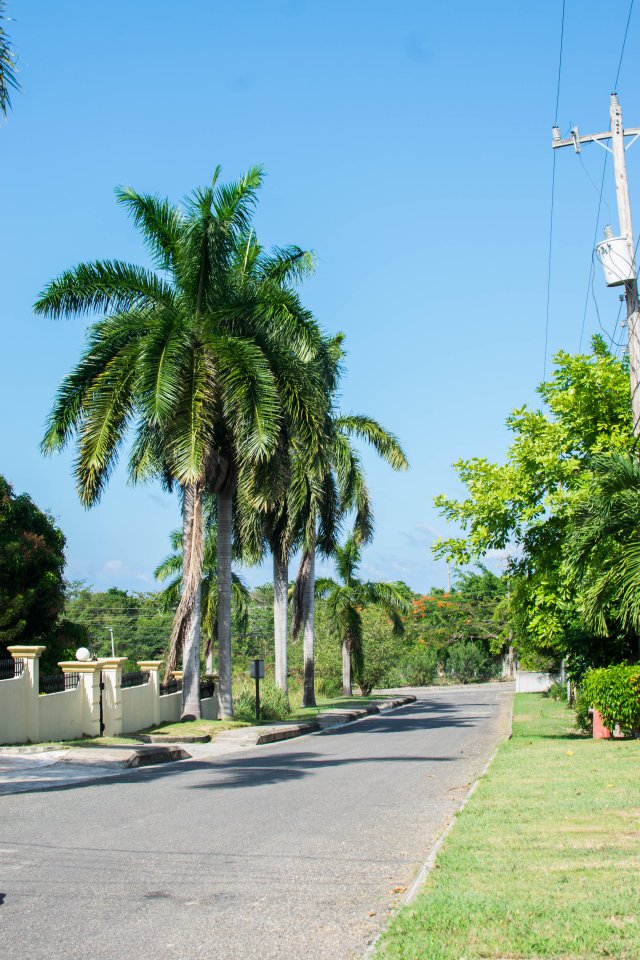 House For Sale in St Ann, St. Ann Jamaica