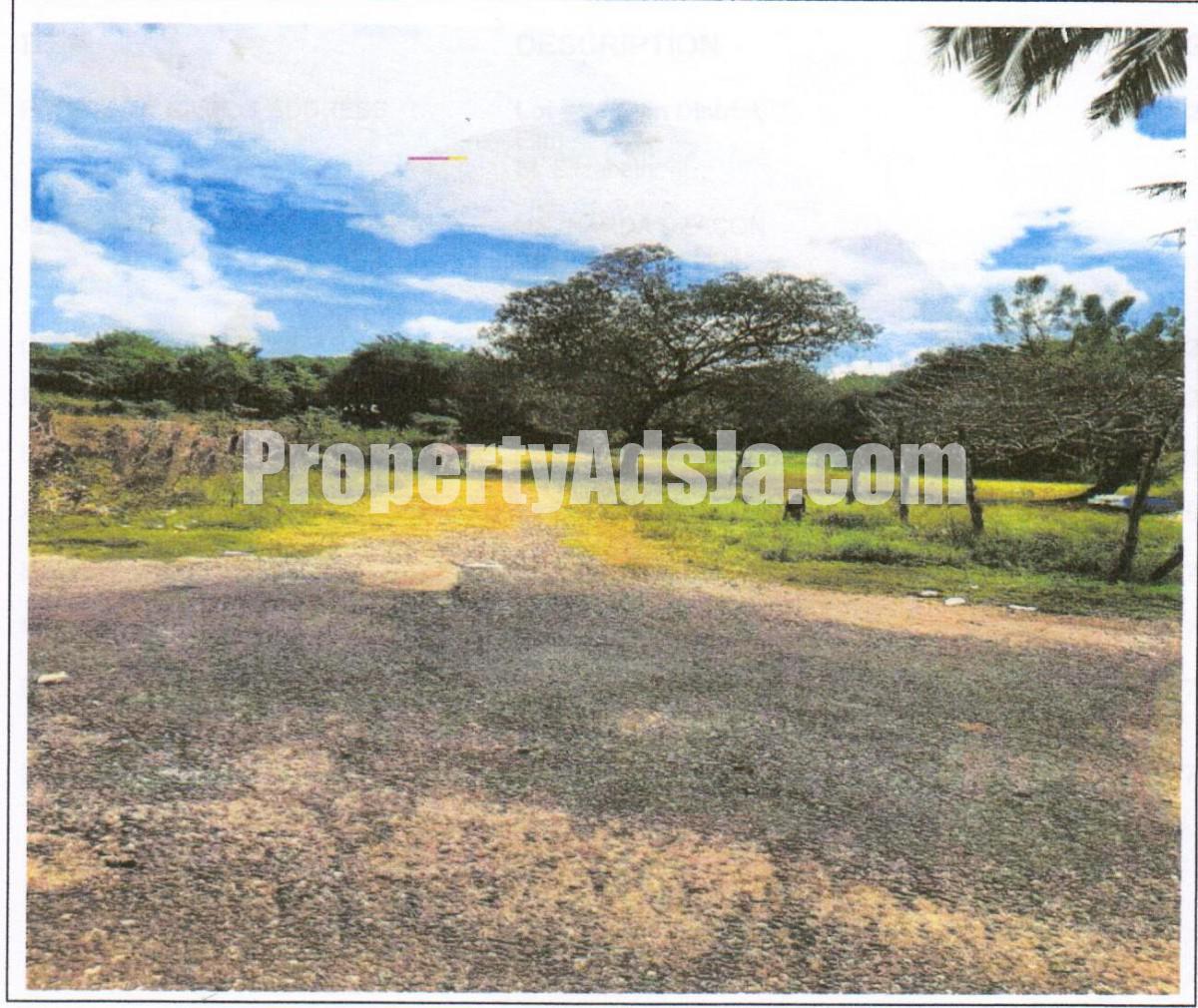 Residential lot For Sale in Elim District, St. Elizabeth Jamaica