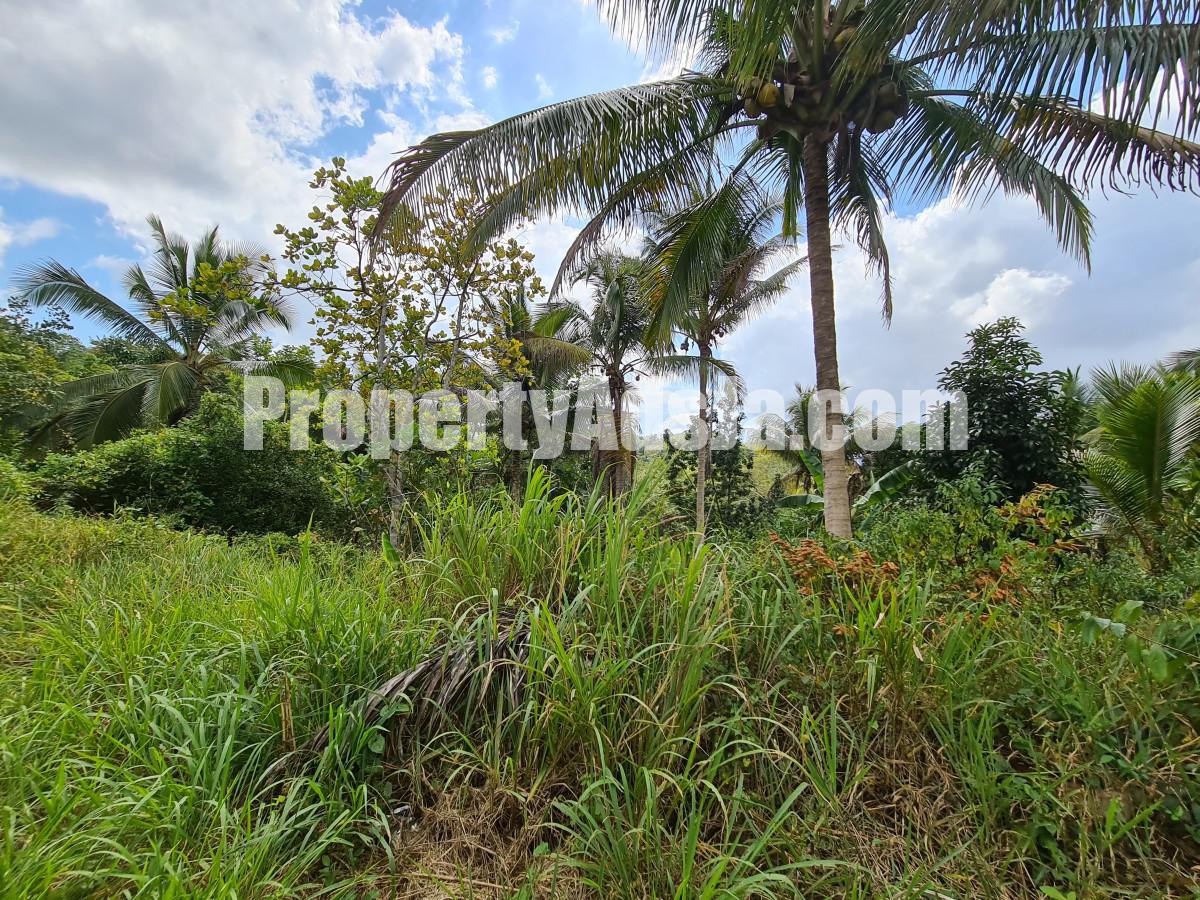 Commercial/farm land For Sale in Bog Walk, St. Catherine Jamaica