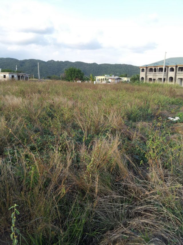 Residential lot For Sale in Toll Gate, Clarendon Jamaica
