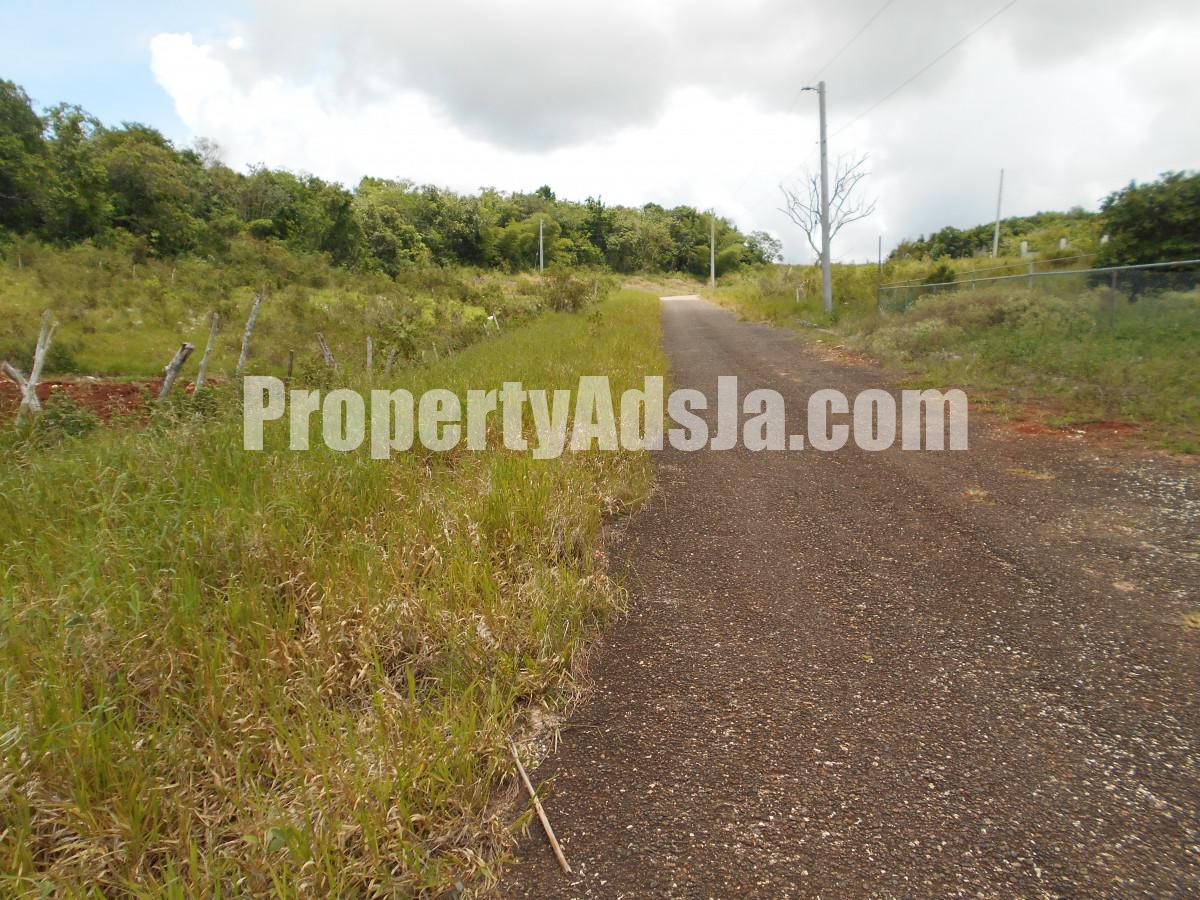 Land For Sale in Spur Tree, Manchester Jamaica
