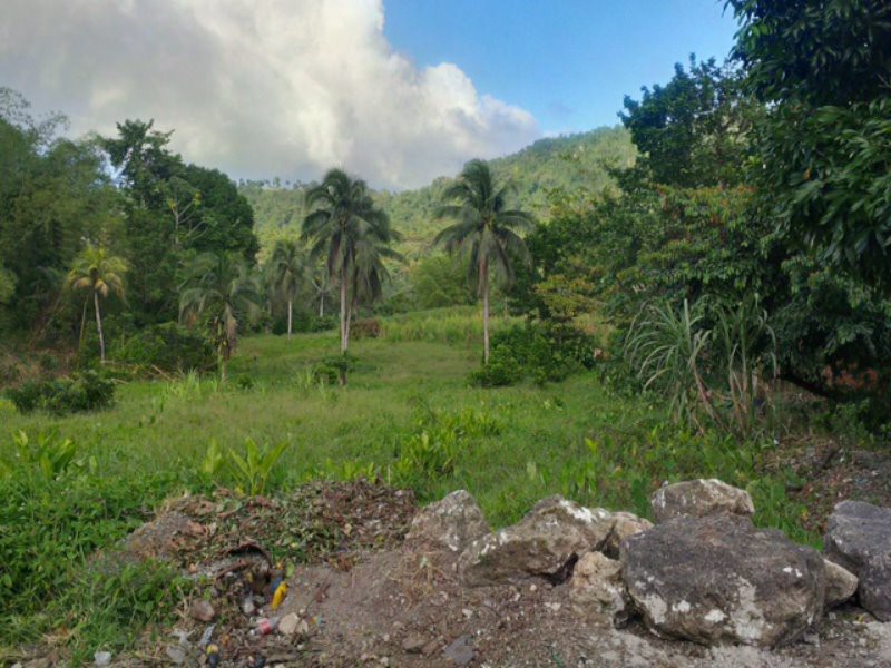 Commercial/farm land For Sale in Toms Hope, Portland Jamaica