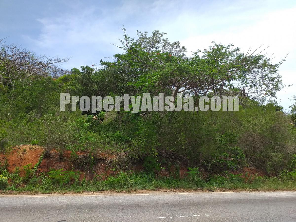 Commercial land For Sale in Spur Tree, Manchester Jamaica