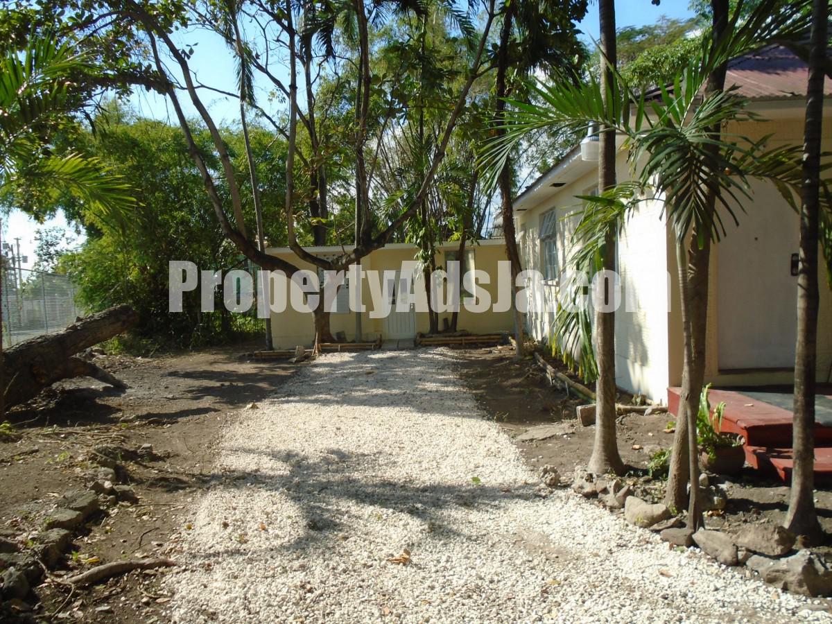 House For Rent in Liguanea, Kingston / St. Andrew Jamaica