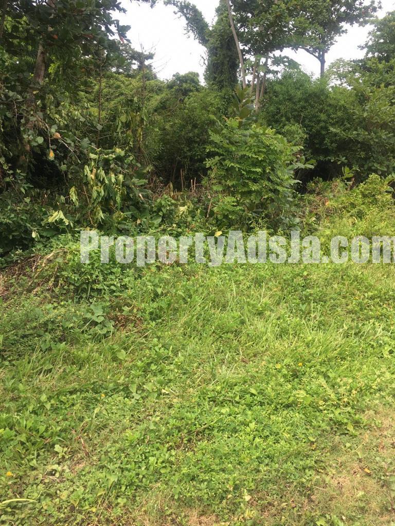 Residential lot For Sale in ST MARGARETS BAY, Portland Jamaica