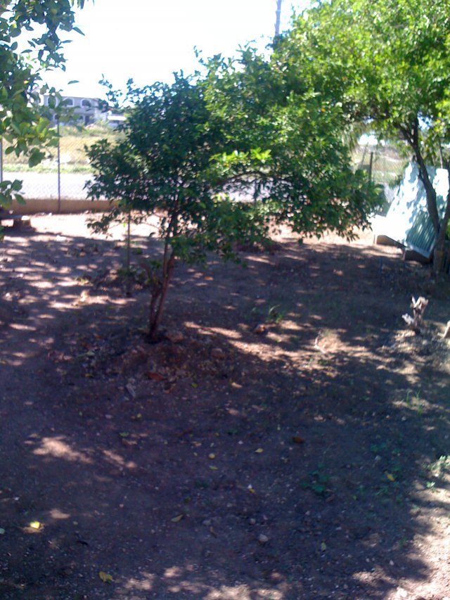 House For Sale in Gore Tuca, St. Catherine Jamaica