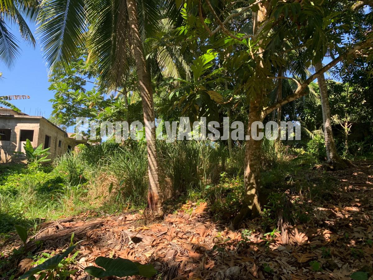 House For Sale in Guys HIll, St. Mary Jamaica