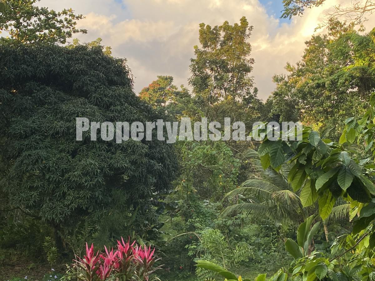 House For Sale in Nonsuch, Portland Jamaica