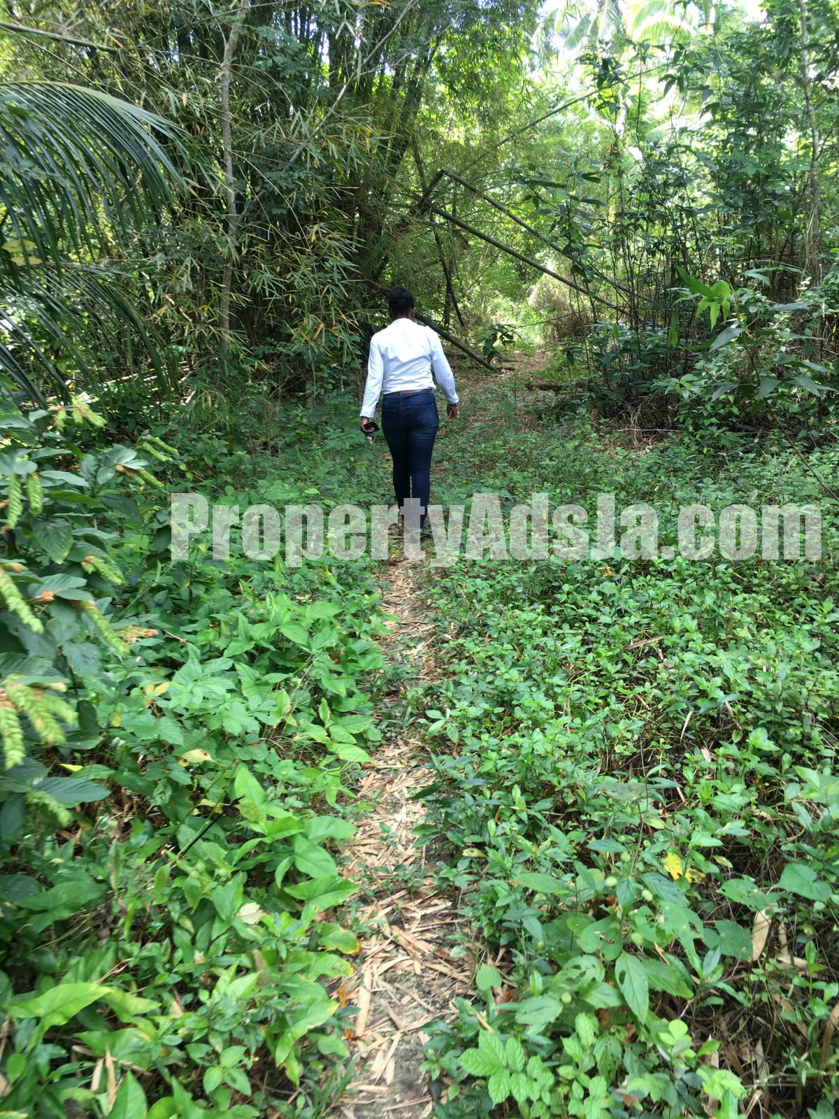 Commercial/farm land For Sale in Oracabessa, St. Mary Jamaica