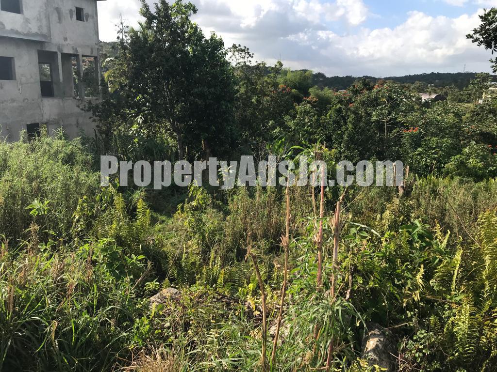Residential lot For Sale in Darliston, Westmoreland Jamaica