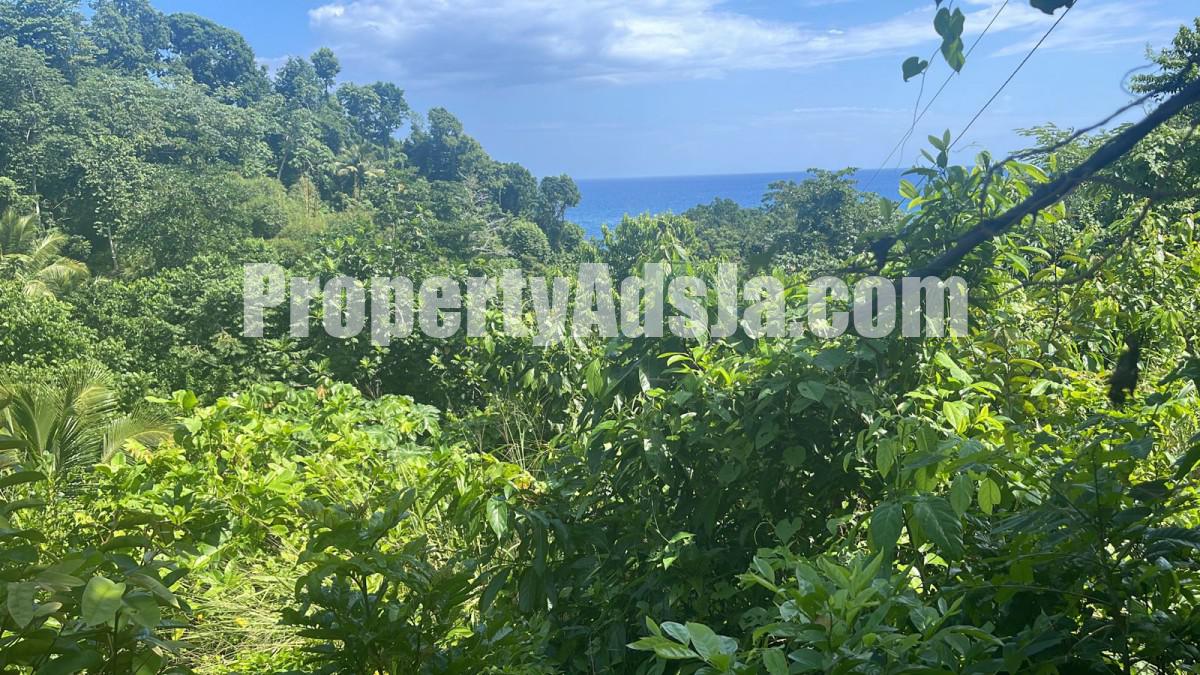 Land For Sale in Port Antonio, Portland Jamaica