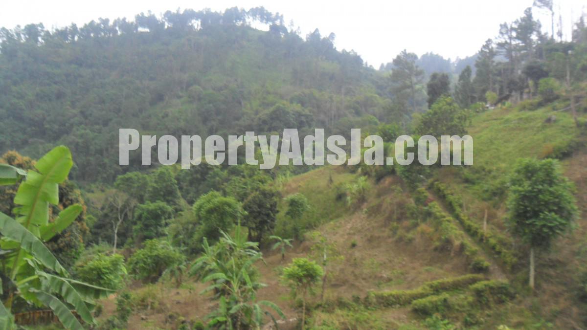 Commercial/farm land For Sale in St Andrew, Kingston / St. Andrew