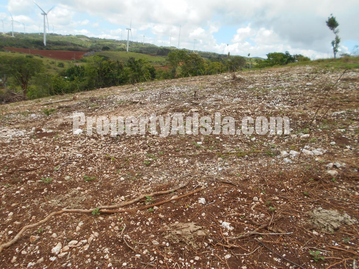 Land For Sale in Wigton, Manchester Jamaica
