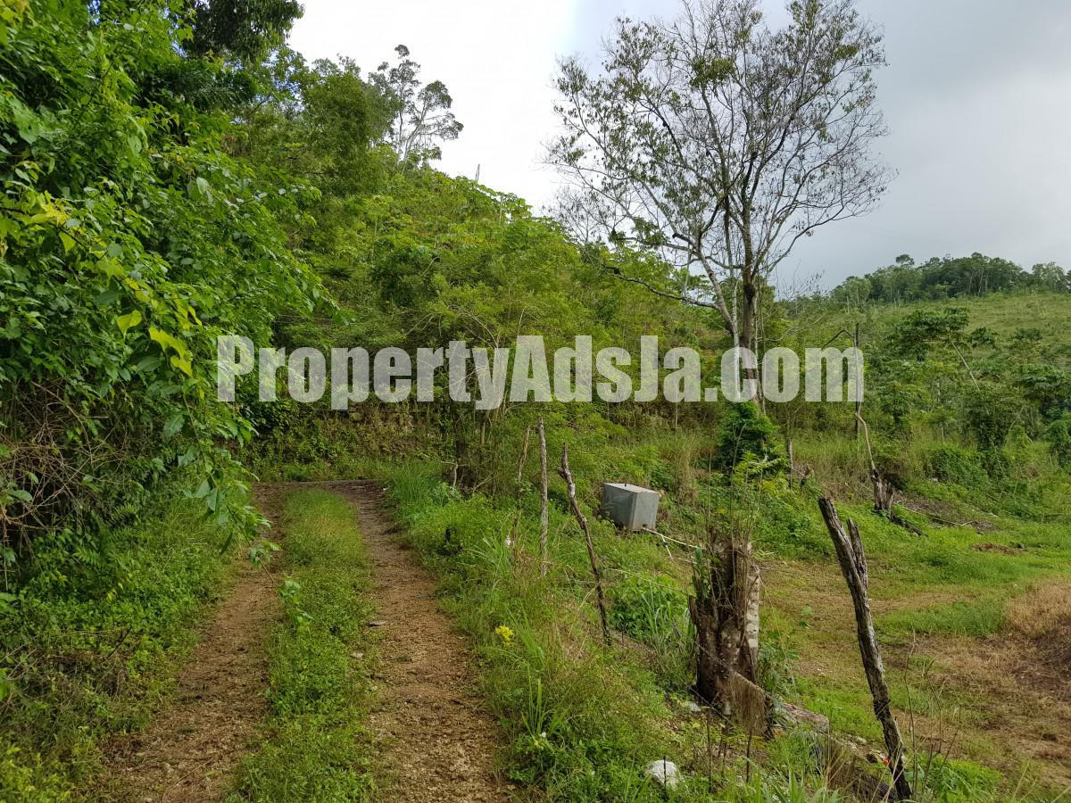 Commercial/farm land For Sale in Carton Estate Off road leading from