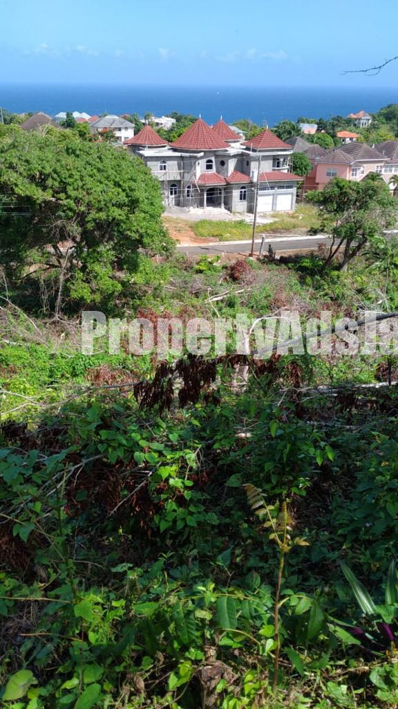 Residential lot For Sale in Tower isles, St. Mary Jamaica