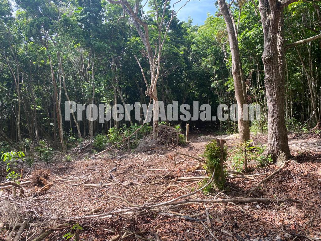 Land For Sale in Montego Bay, St. James Jamaica
