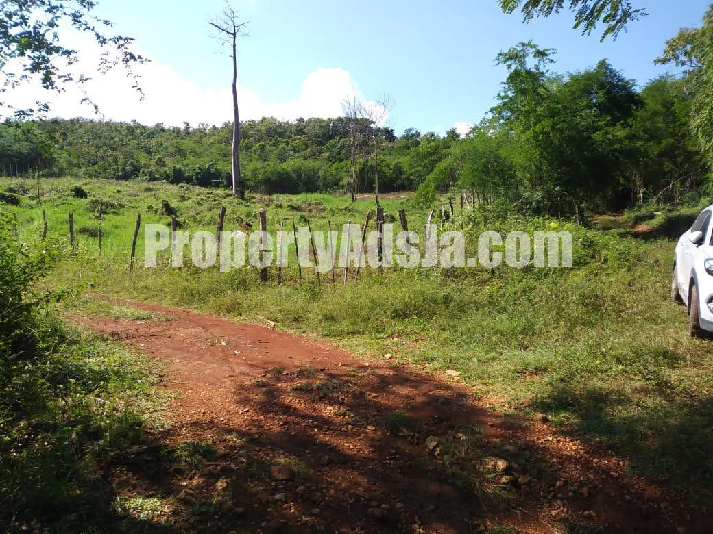 For Sale in Friendship, St. Elizabeth Jamaica