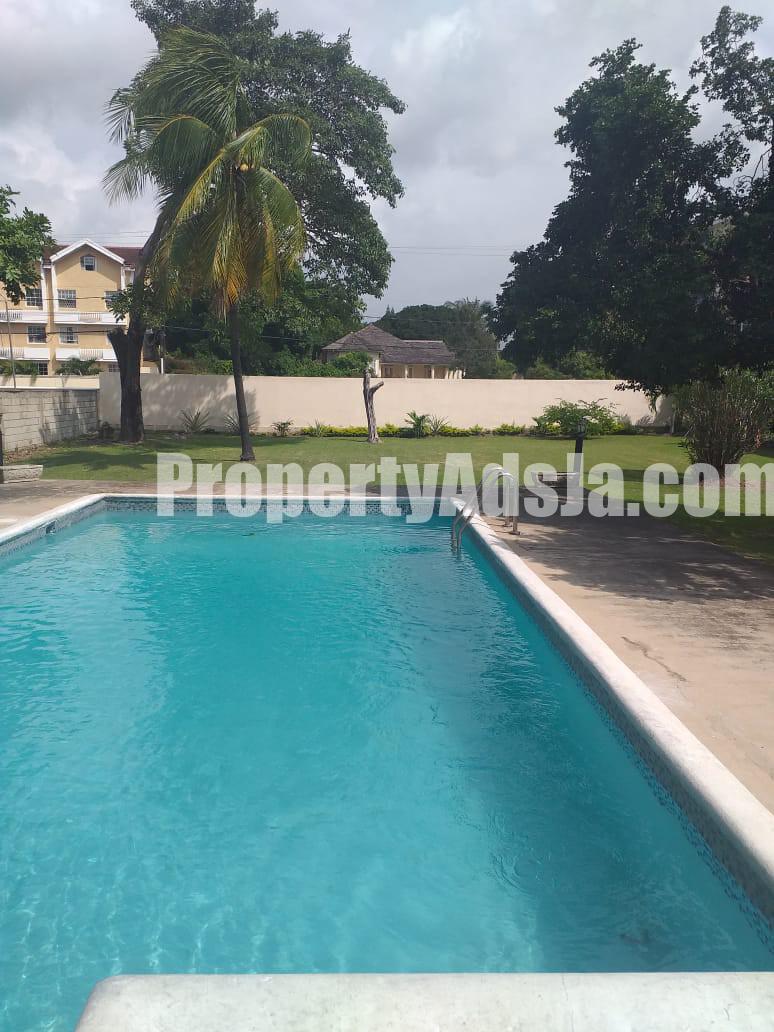 Apartment For Rent in New Kingston and Halfway Tree, Kingston / St