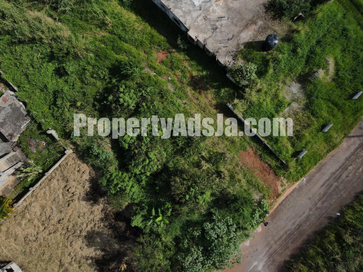 Land For Sale in Mandeville, Manchester Jamaica