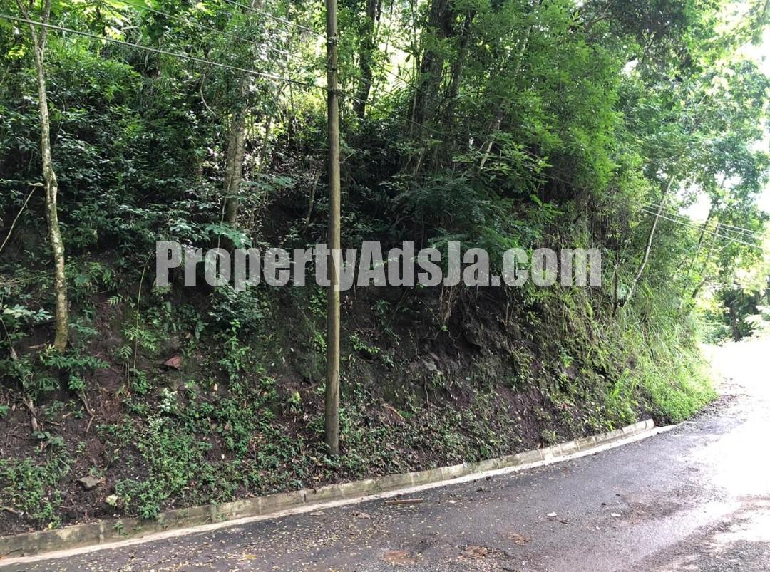 Residential lot For Sale in GORDON TOWN, Kingston / St. Andrew Jamaica