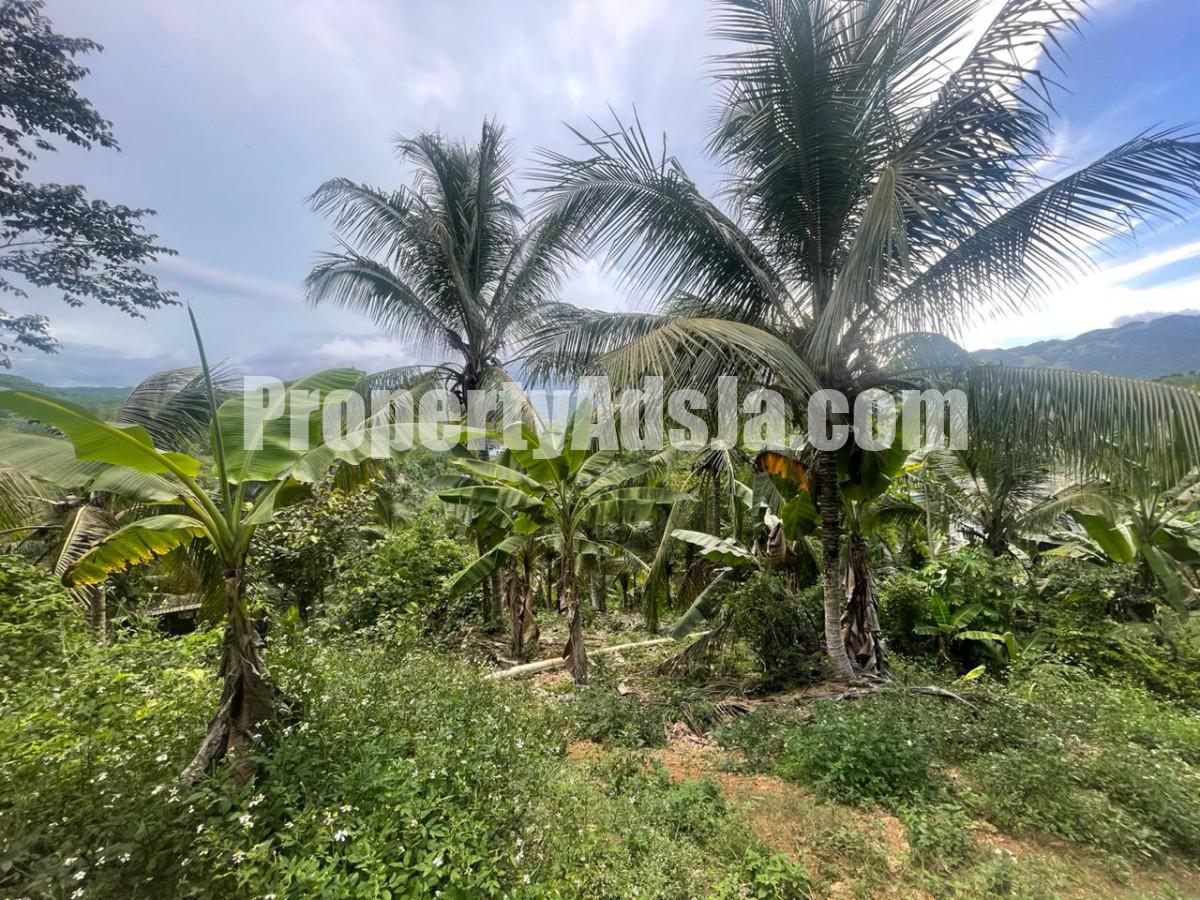 Commercial/farm land For Sale in Ewarton, St. Catherine Jamaica