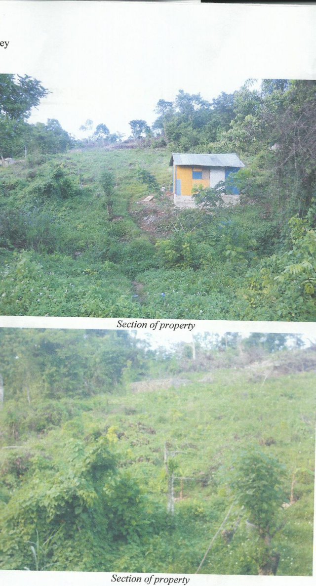 Residential lot For Sale in Mango Valley, St. Mary Jamaica