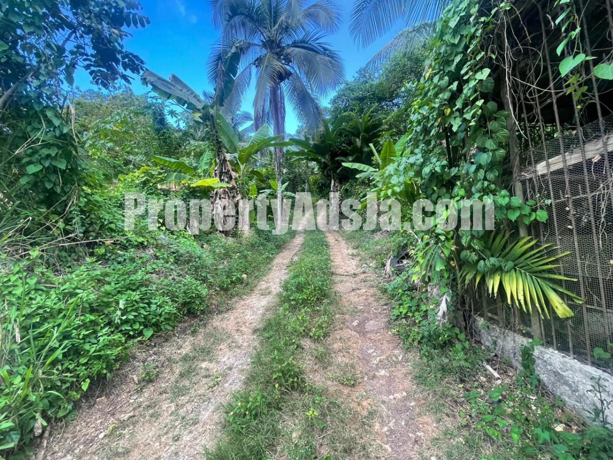 Commercial/farm land For Sale in Ewarton, St. Catherine Jamaica