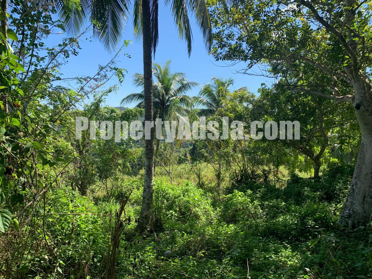 Land For Sale in Guys Hill, St. Mary Jamaica